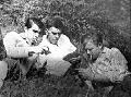 Tiltott gymlcsk 1963